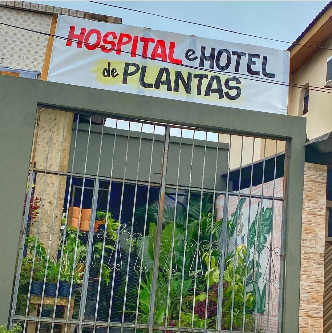 "Hotel de planta" é opção para quem vai viajar e não quer deixar as plantinhas sem cuidados