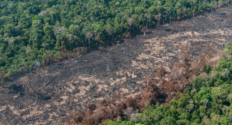 Noruega avalia investir em projetos de redução de desmatamento na Amazônia
