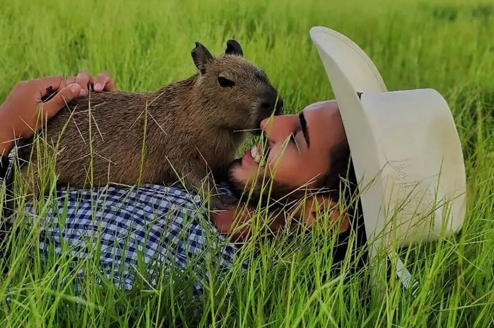 COMO DESENHAR A CAPIVARA FILÓ DO AGENOR 