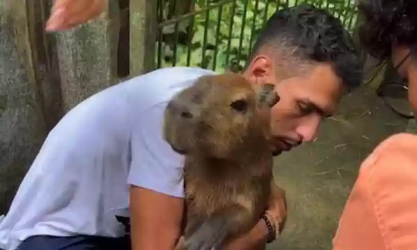 Justiça decide que capivara volte a ficar com influencer em