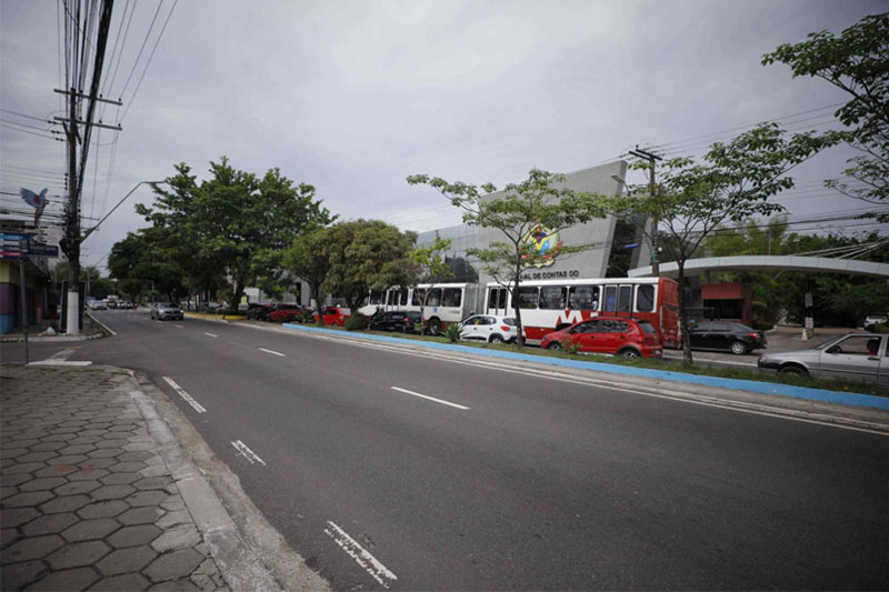 IPAAM foi responsável por autorização para retirada de 56 árvores na av. Ephigênio Salles