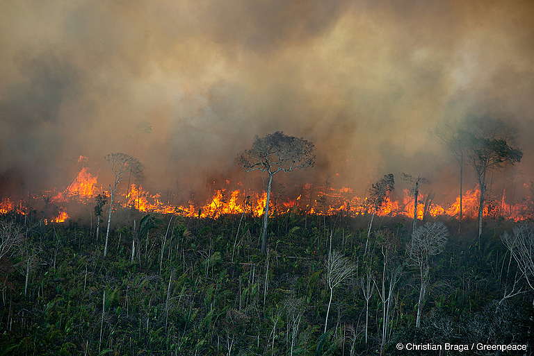 Foto Queimadas: Christian Braga/Greenpeace